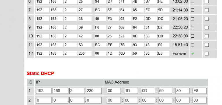 static dhcp